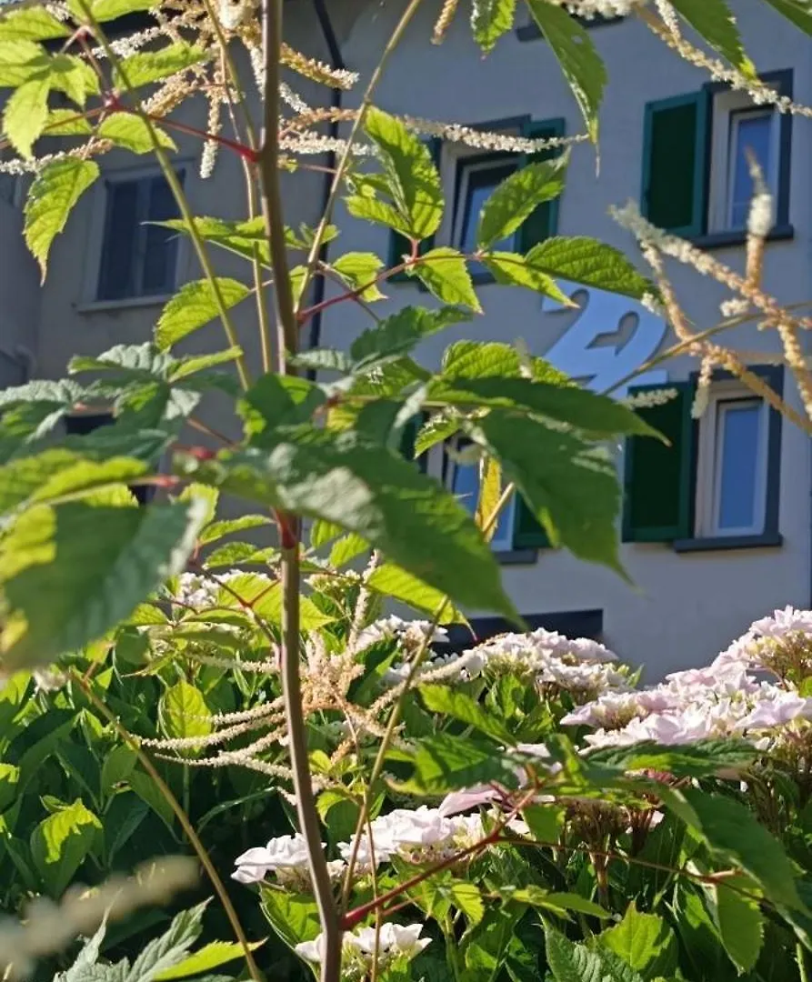 B&B22 Santa Brigida 0*,  Italy